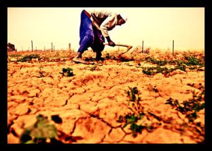 food-security-in-africa