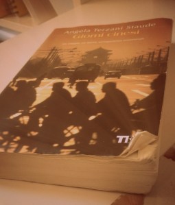 recensione libro angela terzani